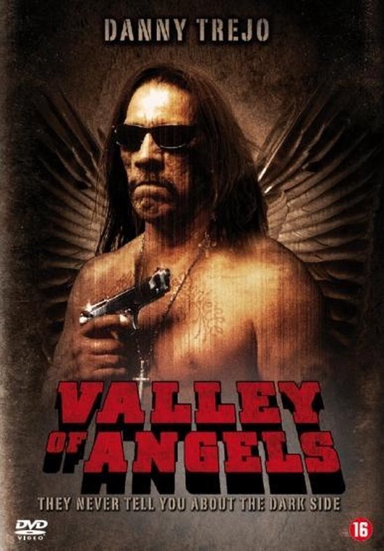 Cover van de film 'Valley Of Angels'