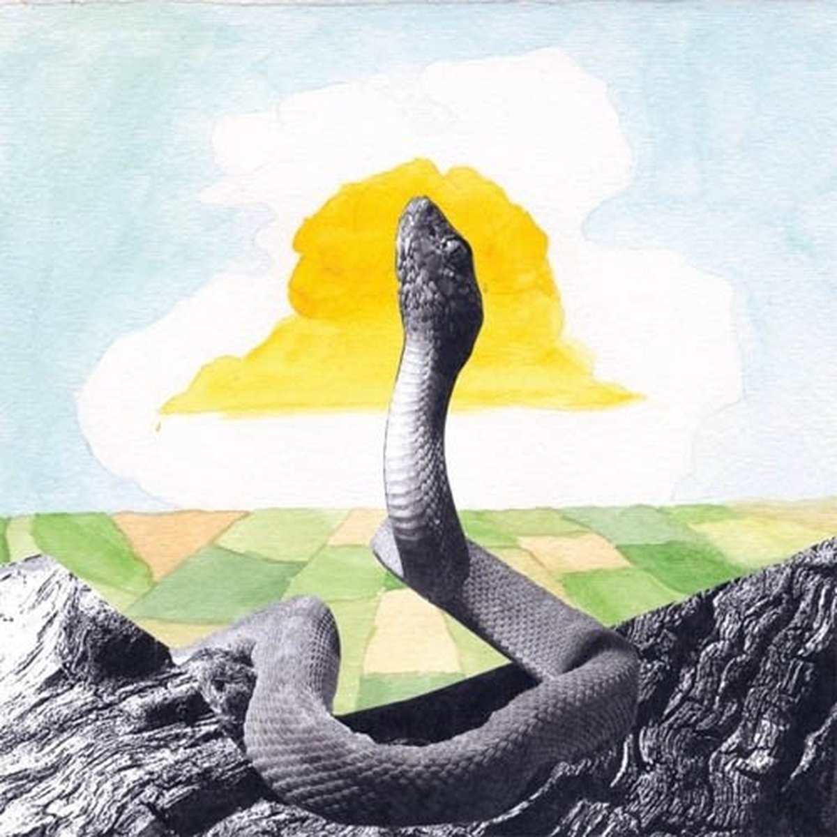 Woods - Bend Beyond (CD)