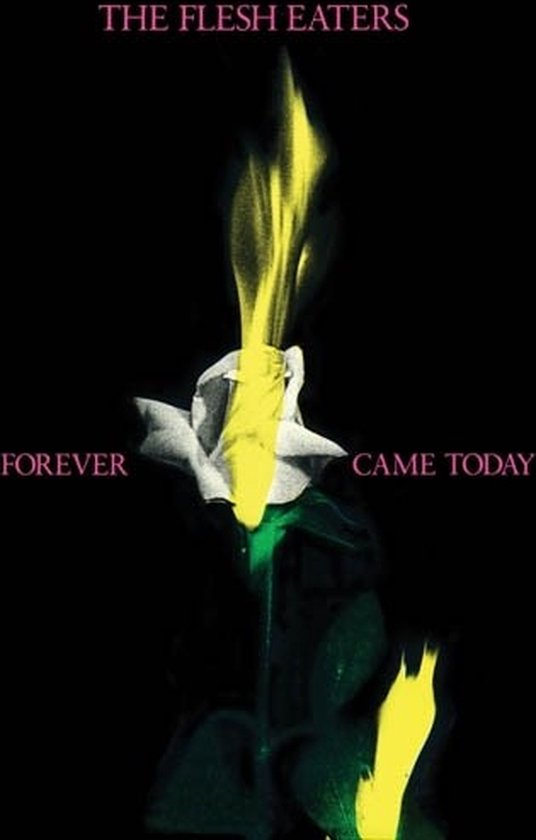 The Flesh Eaters - Forever Came Today (CD)