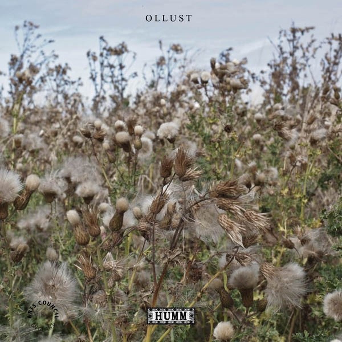 Broads & Milly Hirst - Ollust (CD)