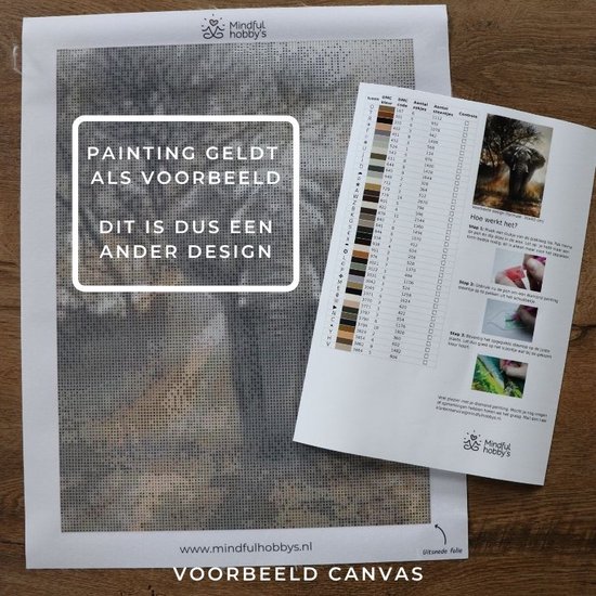 Peinture au Diamond - Coucher de soleil derrière la porte - Fabriqué aux Pays- Nederland - 40 x 60 cm - matériel de toile - pierres carrées + stylo de luxe gratuit d'une valeur de 12,99