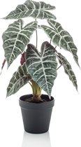 Emerald - Kunstplant in pot Alocasia 40cm - Kunstplanten voor binnen