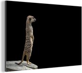 Wanddecoratie Metaal - Aluminium Schilderij Industrieel - Stokstaartje - Wilde dieren - Zwart - 90x60 cm - Dibond - Foto op aluminium - Industriële muurdecoratie - Voor de woonkamer/slaapkamer