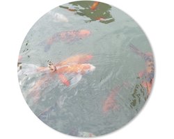Foto: 