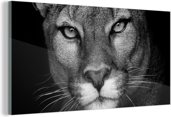 Peinture sur verre - Profil d'animal puma en noir et blanc - 120x60 cm -  Peintures sur... | bol.com