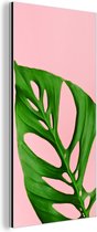 Wanddecoratie Metaal - Aluminium Schilderij Industrieel - Botanisch blad met felle kleur als achtergrond - 40x80 cm - Dibond - Foto op aluminium - Industriële muurdecoratie - Voor de woonkamer/slaapkamer