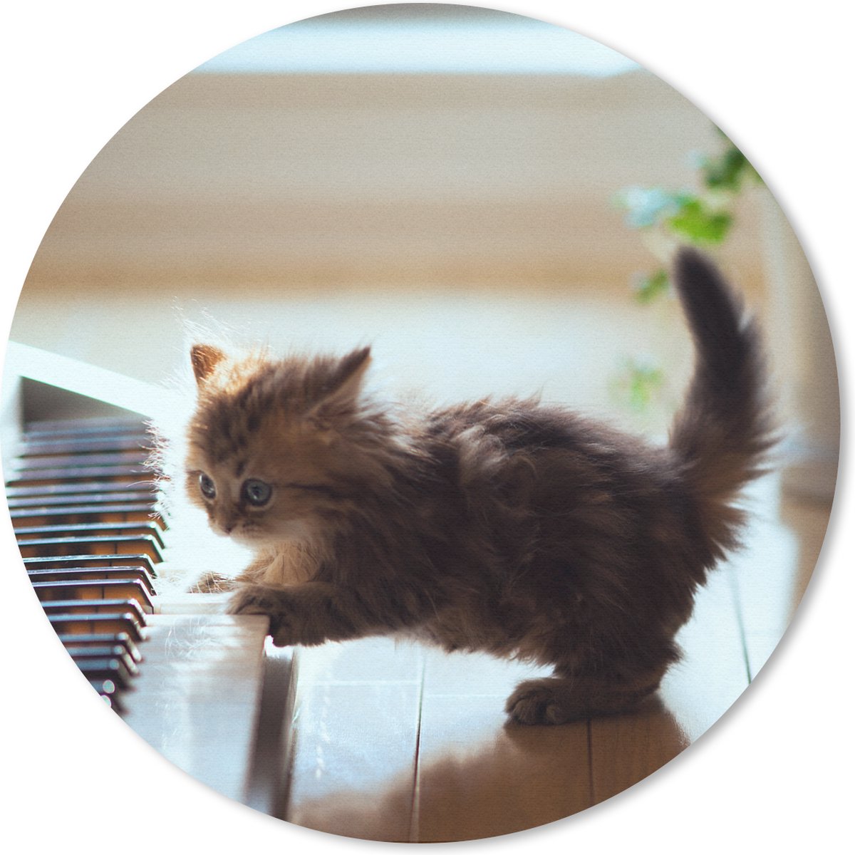 Muismat rond 50x50 cm - Mousepad Kat - Dier - Kitten - Ronde muismatten