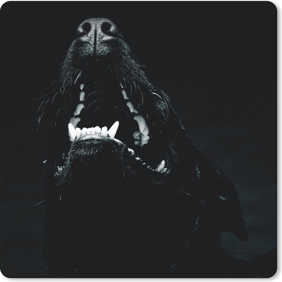 Muismat 30x30 cm - Mousepad Dierenprofiel hond met open bek in zwart-wit - Muismatten