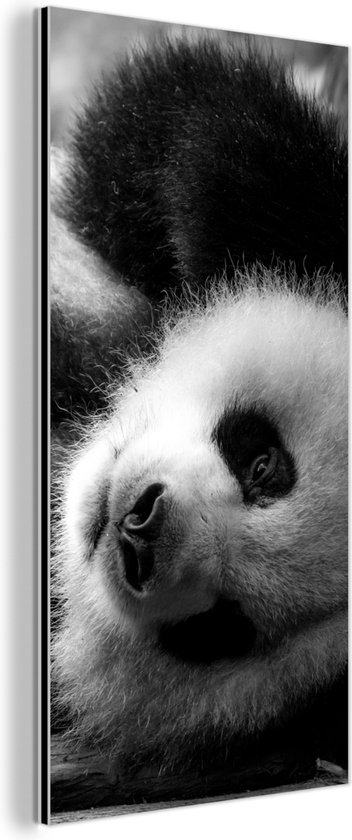 Wanddecoratie Metaal - Aluminium Schilderij Industrieel - Dierenprofiel rollende panda in zwart-wit - 40x80 cm - Dibond - Foto op aluminium - Industriële muurdecoratie - Voor de woonkamer/slaapkamer