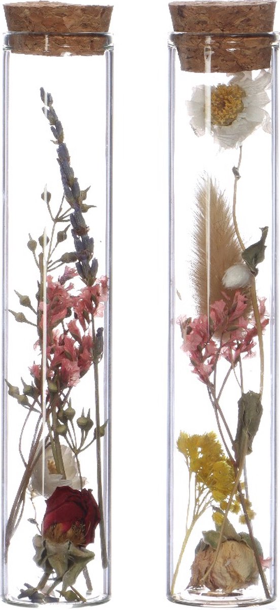 Glazen buis met 2 diverse droogbloemen Ø3cm. H: 15cm - 12 st