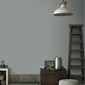 Graham & Brown Fresco Grijs - 53cm breed 10m lang