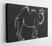 Canvas schilderij - Graphical sketch of camel isolated on black, vector engraved illustration, doodle drawing  -     1752984344 - 50*40 Horizontal