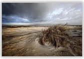 Wanddecoratie - Foto op Aluminium - Foto op Dibond -Aluminium Schilderij - Ouddorpse duinen 2 - Fons Kern - 140x70 cm