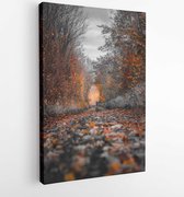Canvas schilderij - Photography of fall trees -   1591447 - 40-30 Vertical