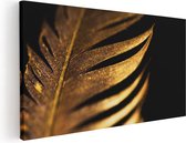 Artaza Canvas Schilderij Gouden Veer  - 60x30 - Foto Op Canvas - Canvas Print