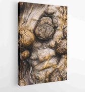 Canvas schilderij -  Productnummer 189788 - 50*40 Vertical