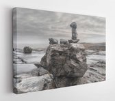 Canvas schilderij - Rough rocks ion West coast of Ireland, Burren national park, Ireland, Wild Atlantic Way, county Clare, Rock resemble horse head  -     1298832529 - 50*40 Horizo