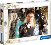 legpuzzel Harry Potter 49 cm karton 500 stukjes