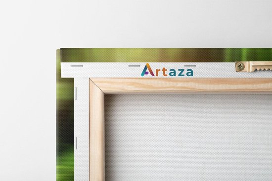 Artaza - Triptyque de peinture sur toile - Mousse verte recouverte de pierres - 90x60 - Photo sur toile - Impression sur toile