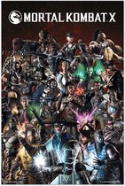 Grupo Erik Mortal Kombat Characters  Poster - 61x91,5cm