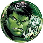 DE Hulk party bordjes - feestbordjes - borden | 8 stuks karton 23cm