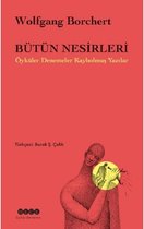 Bütün Nesirleri Öyküler Denemeler Kaybolmuş Yazılar