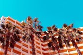 Palm hotel – 135cm x 90cm - Fotokunst op PlexiglasⓇ incl. certificaat & garantie.