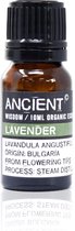 Biologische Etherische Olie Lavendel - 10ml - Essentiële Oliën Aromatherapie