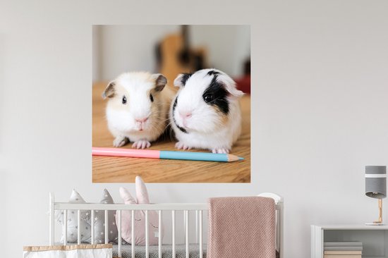 Muurstickers - Sticker Folie - Schattige baby-cavia's - 100x100 cm - Plakfolie - Muurstickers Kinderkamer - Zelfklevend Behang XXL - Zelfklevend behangpapier - Stickerfolie
