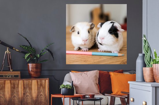 Muurstickers - Sticker Folie - Schattige baby-cavia's - 100x100 cm - Plakfolie - Muurstickers Kinderkamer - Zelfklevend Behang XXL - Zelfklevend behangpapier - Stickerfolie