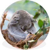 WallCircle - Wandcirkel ⌀ 140 - Koala - Takken - Bladeren - Kinderen - Jongens - Meisjes - Ronde schilderijen woonkamer - Wandbord rond - Muurdecoratie cirkel - Kamer decoratie binnen - Wanddecoratie muurcirkel - Woonaccessoires