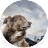 WallCircle - Wandcirkel ⌀ 30 - Starende hond - Ronde schilderijen woonkamer - Wandbord rond - Muurdecoratie cirkel - Kamer decoratie binnen - Wanddecoratie muurcirkel - Woonaccessoires