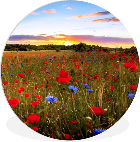 Wall Circle - Indoor Wall Circle - Flower Meadow - Coquelicots - Rouge - ⌀ 60 cm - Décoration murale - Peintures Ronds