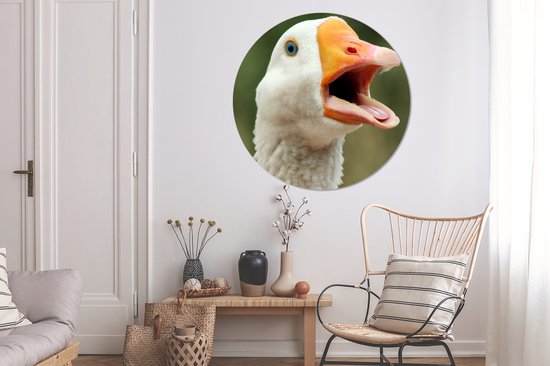 Gros plan d'une assiette en plastique de cercle de mur d'oie d'oie - ⌀ 140 cm - peinture ronde - impression photo sur cercle mural en plastique (forex) / cercle vivant / (décoration murale)