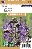 Sluis garden - Inheemse bloemenzaden - Veldsalie - Salvia pratensis - geproduceerd in Nederland