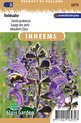Sluis garden - Inheemse bloemenzaden - Veldsalie - Salvia pratensis - geproduceerd in Nederland