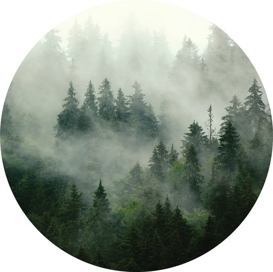 Papier peint non tissé - Wall Circle Forest in the Mist – Vinyl Wall Circle vert sur papier peint intissé – Ø 91 cm