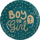 Set 10 Papieren bordjes 'Boy or Girl?'