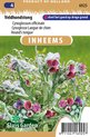 Sluis garden - Inheemse bloemenzaden - Veldhondstong - geproduceerd in Nederland