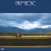 Hiromasa Suzuki - Primrose (LP)