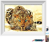 Artstudioclub®  Diamond painting volwassenen 20*25cm  luipaard