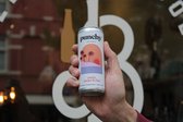 Punchy Peach, Ginger & Chai Spice | 6 x 250ml