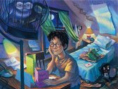 New York Puzzle Company XXL Pieces - Harry Potter - Counting the Days 500 Stukjes