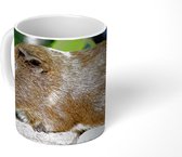 Mok - Koffiemok - Guinee-portret cavia - Mokken - 350 ML - Beker - Koffiemokken - Theemok