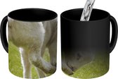 Magische Mok - Foto op Warmte Mok - Schattig lam in een groen weiland - 350 ML