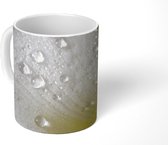 Mok - Een close up van vroege dauw op een groene amaryllis - 350 ML - Beker