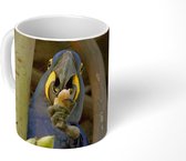 Mok - Hyacintara eet een noot - 350 ML - Beker