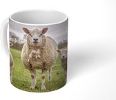 Mok - Koffiemok - Schapen - Boerderijdieren - Portret - Mokken - 350 ML - Beker - Koffiemokken - Theemok