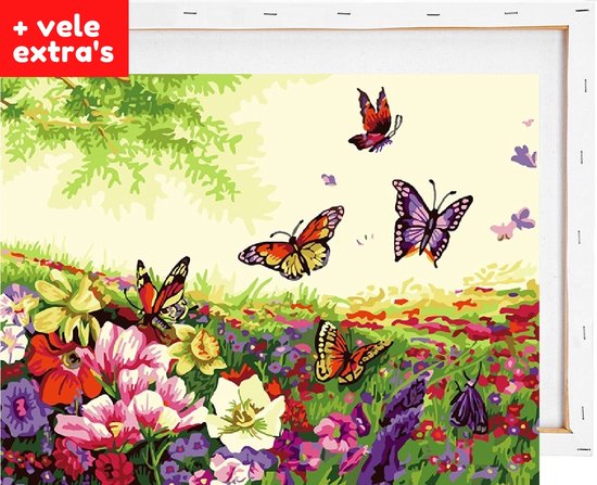 Schilderen op nummer volwassenen met houten frame – Vlinders in