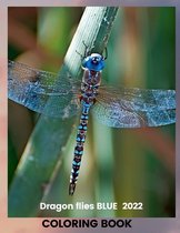 Dragon flies